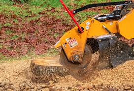 Best Tree Removal  in Vinton, VA